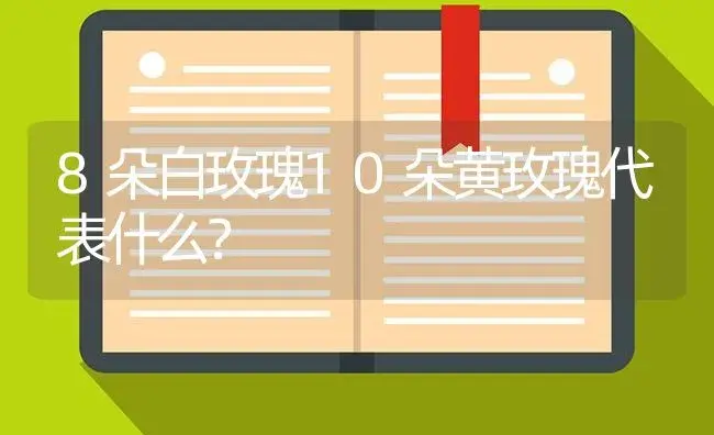 8朵白玫瑰10朵黄玫瑰代表什么？ | 绿植常识