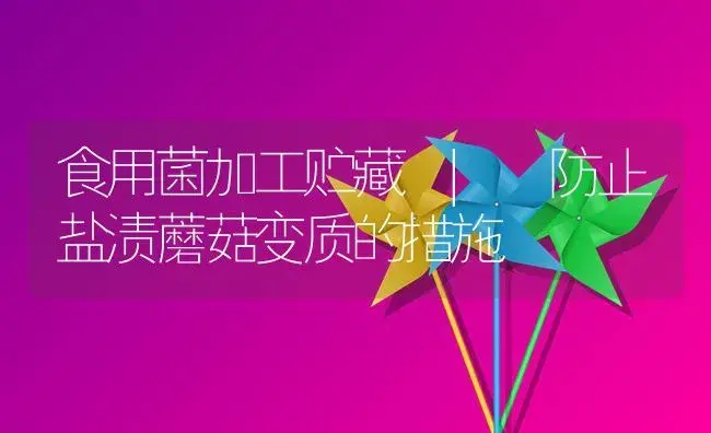 防止盐渍蘑菇变质的措施 | 菌菇种植
