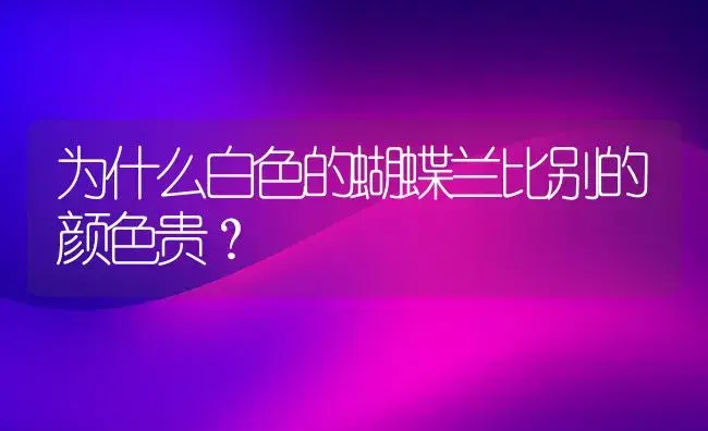 为什么白色的蝴蝶兰比别的颜色贵？ | 绿植常识