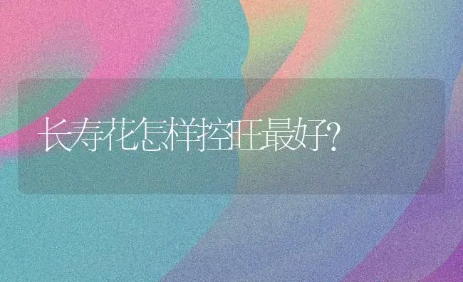 长寿花怎样控旺最好？ | 多肉养殖