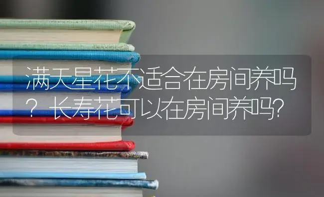 满天星花不适合在房间养吗？长寿花可以在房间养吗？ | 多肉养殖