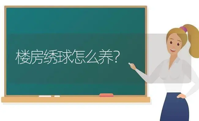 楼房绣球怎么养？ | 绿植常识