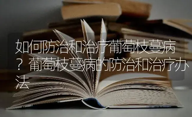 如何防治和治疗葡萄枝蔓病？葡萄枝蔓病的防治和治疗办法 | 果木种植