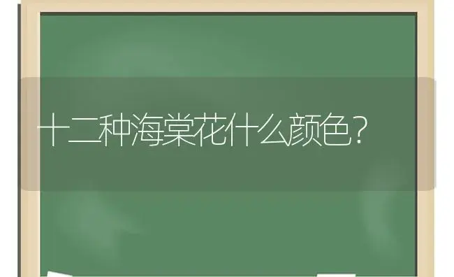 东北盆栽百合花几月份？ | 绿植常识