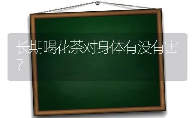 长期喝花茶对身体有没有害？ | 绿植常识