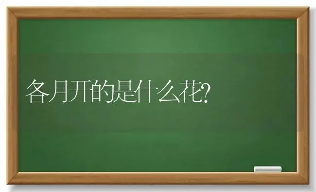 各月开的是什么花？ | 绿植常识