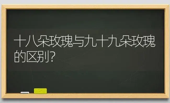 十八朵玫瑰与九十九朵玫瑰的区别？ | 绿植常识