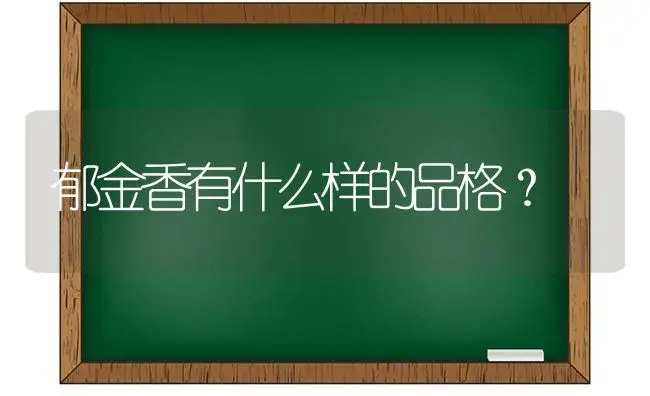 郁金香有什么样的品格？ | 绿植常识