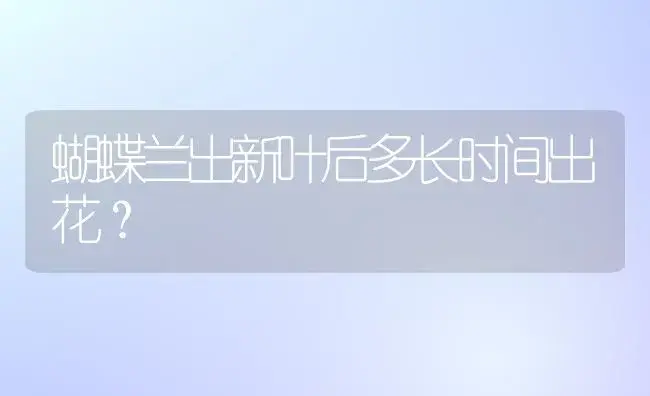 蝴蝶兰出新叶后多长时间出花？ | 绿植常识