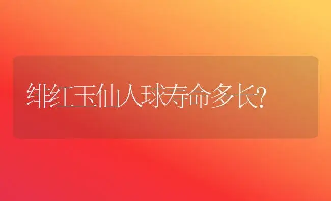 绯红玉仙人球寿命多长？ | 多肉养殖