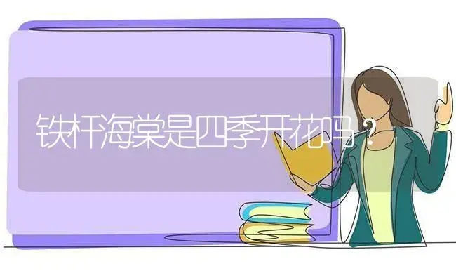 铁杆海棠是四季开花吗？ | 绿植常识