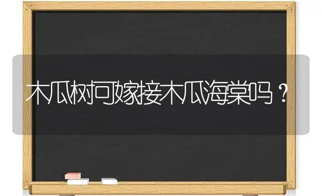 木瓜树可嫁接木瓜海棠吗？ | 绿植常识