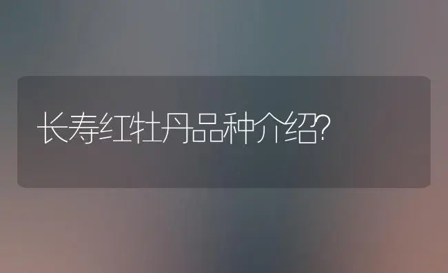 长寿红牡丹品种介绍？ | 多肉养殖