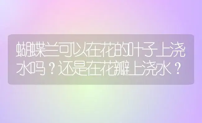 蝴蝶兰可以在花的叶子上浇水吗？还是在花瓣上浇水？ | 绿植常识