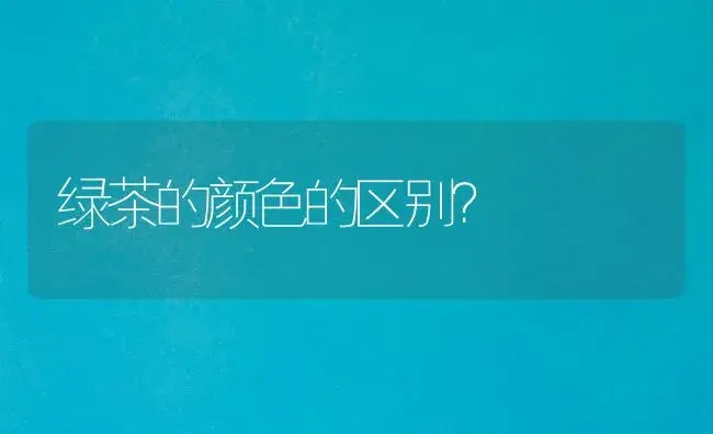 绿茶的颜色的区别？ | 多肉养殖