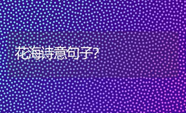 花海诗意句子？ | 绿植常识