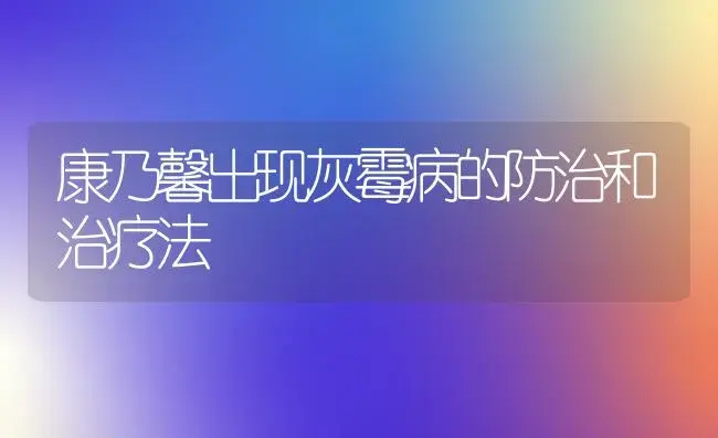 康乃馨出现灰霉病的防治和治疗法 | 家庭养花