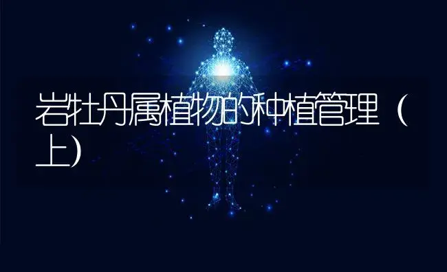 冠形行道树的修剪 | 特种种植