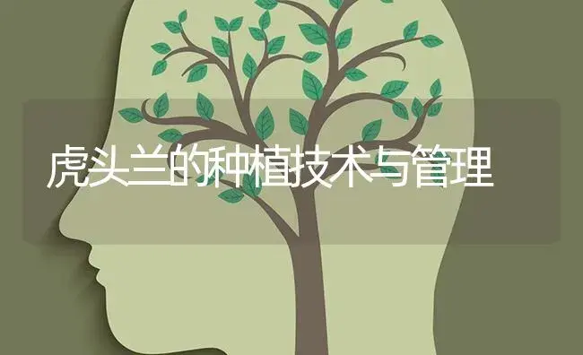 虎头兰的种植技术与管理 | 特种种植