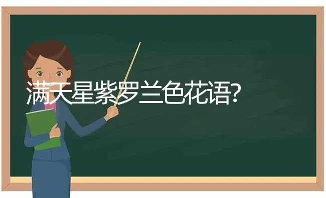 满天星紫罗兰色花语？ | 绿植常识