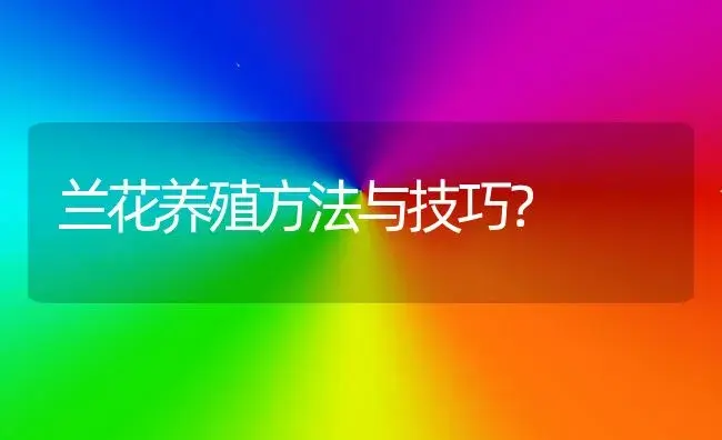 兰花养殖方法与技巧？ | 绿植常识