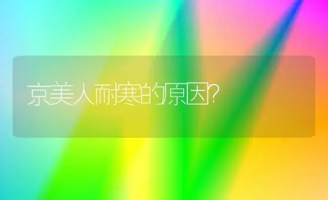 京美人耐寒的原因？ | 多肉养殖