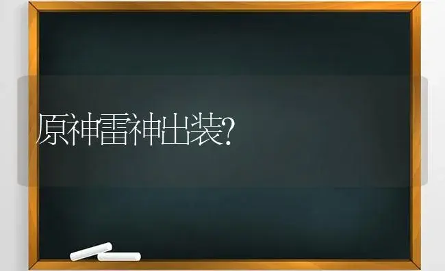 原神雷神出装？ | 多肉养殖