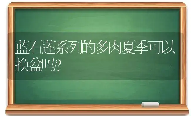 蓝石莲系列的多肉夏季可以换盆吗？ | 多肉养殖