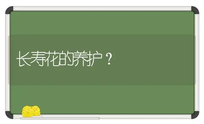 长寿花的养护？ | 多肉养殖