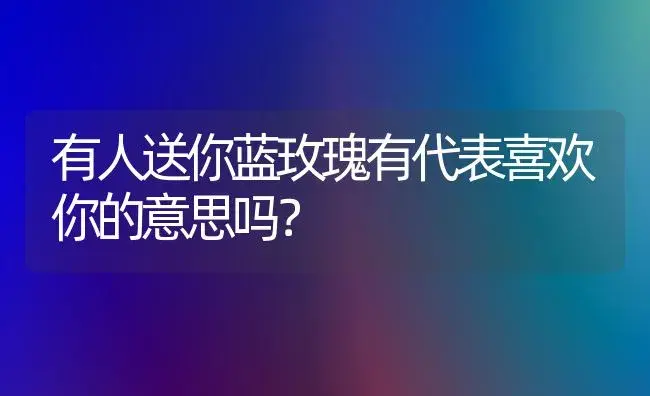 有人送你蓝玫瑰有代表喜欢你的意思吗？ | 绿植常识