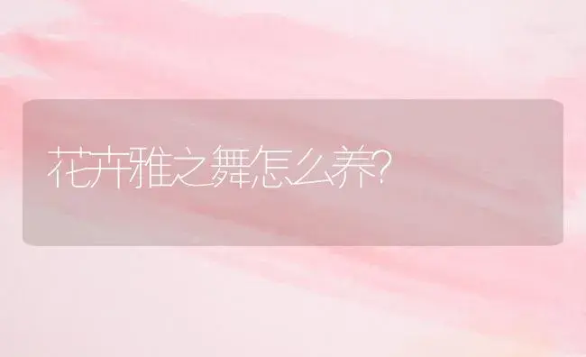 花卉雅之舞怎么养？ | 多肉养殖