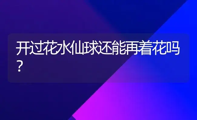 开过花水仙球还能再着花吗？ | 家庭养花