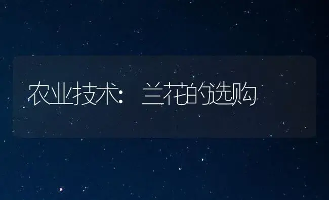 农业技术:兰花的选购 | 家庭养花