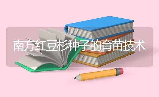 南方红豆杉种子的育苗技术 | 特种种植