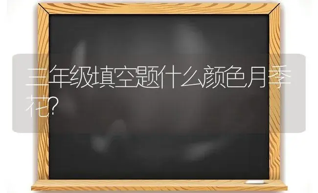 三年级填空题什么颜色月季花？ | 绿植常识