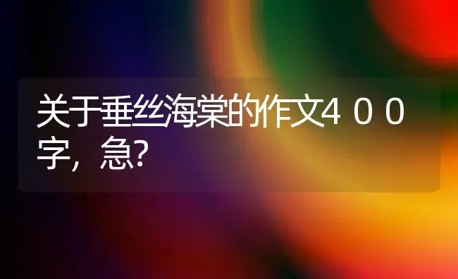 关于垂丝海棠的作文400字，急？ | 绿植常识