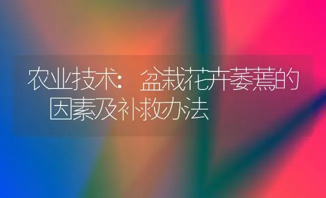 农业技术:盆栽花卉萎蔫的 因素及补救办法 | 家庭养花