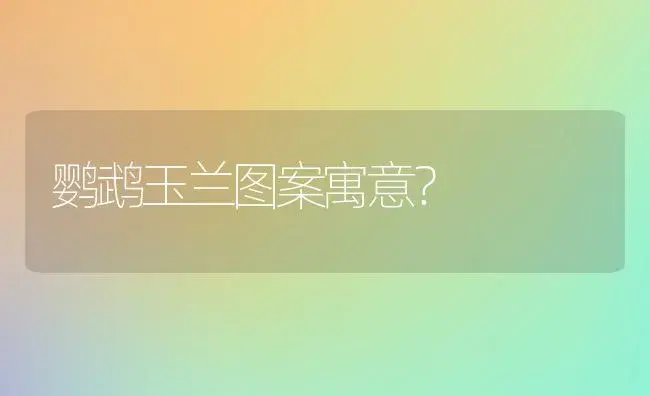 鹦鹉玉兰图案寓意？ | 绿植常识