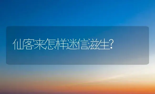 仙客来怎样迷信滋生? | 家庭养花