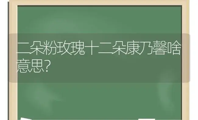 二朵粉玫瑰十二朵康乃馨啥意思？ | 绿植常识