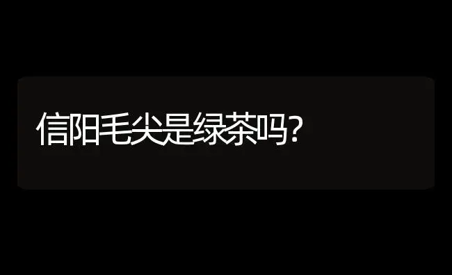 信阳毛尖是绿茶吗？ | 农作物种植