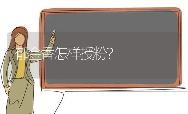 兰花文人象征着什么？ | 绿植常识