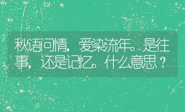 秋语问情,爱染流年。是往事,还是记忆。什么意思？ | 多肉养殖