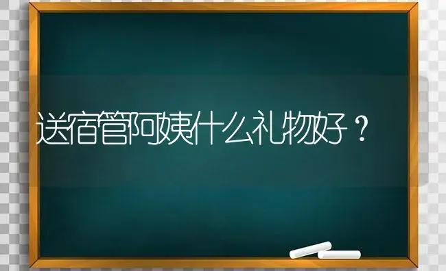 送宿管阿姨什么礼物好？ | 绿植常识