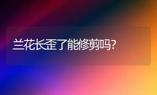 兰花长歪了能修剪吗？ | 绿植常识