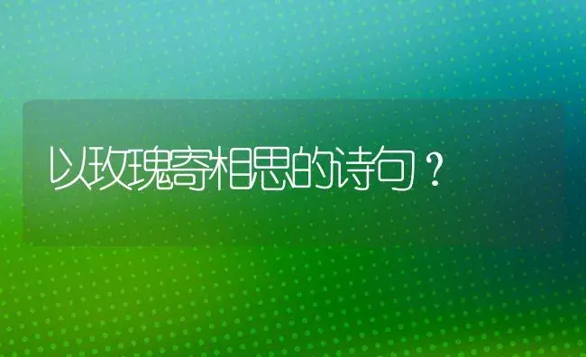 以玫瑰寄相思的诗句？ | 绿植常识