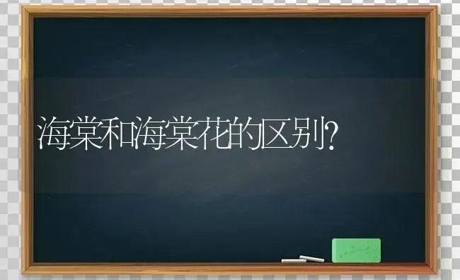 海棠和海棠花的区别？ | 绿植常识