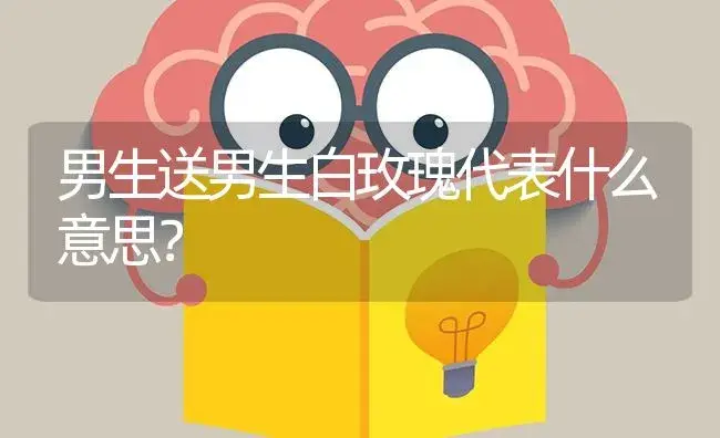 男生送男生白玫瑰代表什么意思？ | 绿植常识