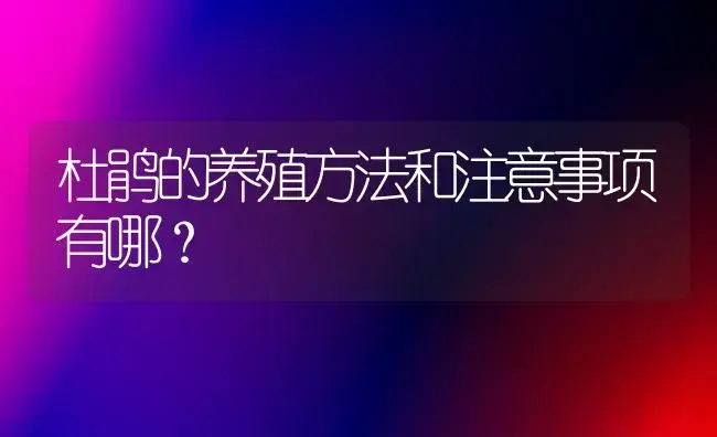 杜鹃的养殖方法和注意事项有哪？ | 绿植常识