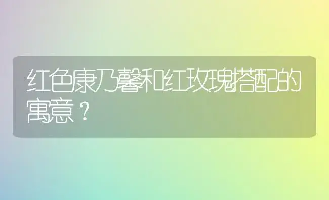 红色康乃馨和红玫瑰搭配的寓意？ | 绿植常识